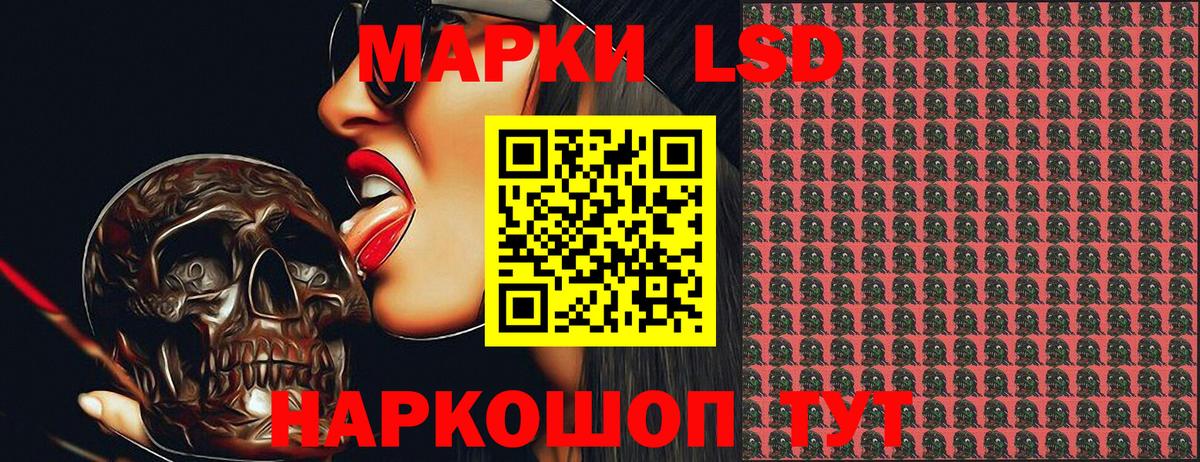 Свободный  Марки NBOMe 1,8мг  Марки NBOMe 1,8мг  где можно купить наркотик  Вход с VPN 